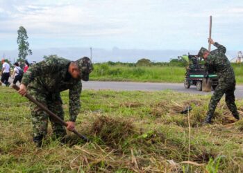 Yopal se embellece con la siembra de 320 árboles en el corredor vial Yopal – Morichal