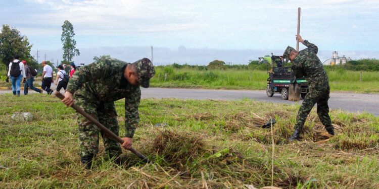 Yopal se embellece con la siembra de 320 árboles en el corredor vial Yopal – Morichal