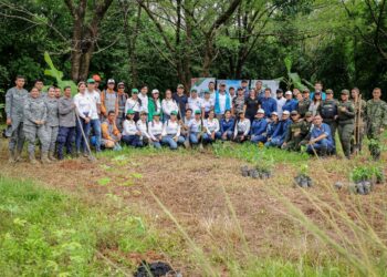 Gobernación le apuesta nuevamente a la reforestación con la campaña “Reverdece Casanare”