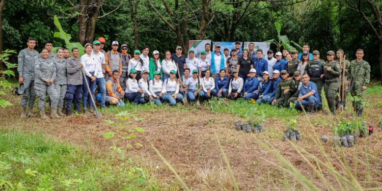 Gobernación le apuesta nuevamente a la reforestación con la campaña “Reverdece Casanare”