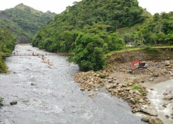 Protección del puente peatonal que conecta a familias de Elvive