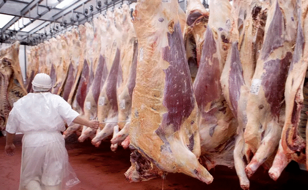 Gobernación del Meta impulsa la competitividad de la cadena cárnica porcina