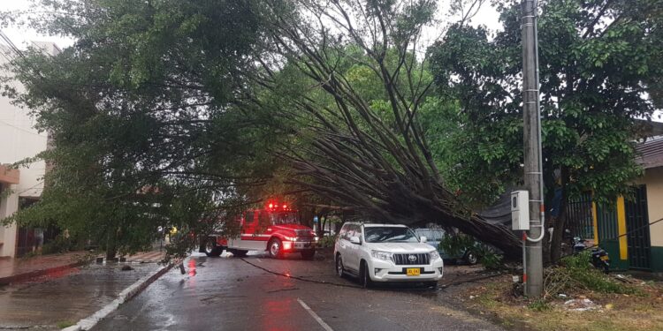 Lluvias en la Orinoquía superarán en un 50 % los niveles normales en junio, según IDEAM