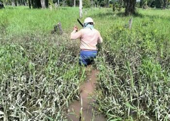 Las lluvias y vientos afectaron parte eléctrica de la zona rural de Tame