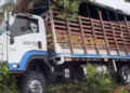 Accidente de camión de carga en la Ruta Los Libertadores cerca de Puerto Jordán