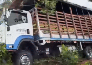 Accidente de camión de carga en la Ruta Los Libertadores cerca de Puerto Jordán