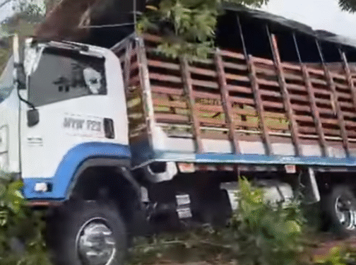 Accidente de camión de carga en la Ruta Los Libertadores cerca de Puerto Jordán
