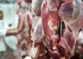 Secretaría de Salud de Boyacá participó en operativos de control policial a expendios de carne en Oriente y Neira
