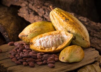 Más de $3.200 millones fueron destinados para garantizar la seguridad alimentaria de los pueblos étnicos de Arauca