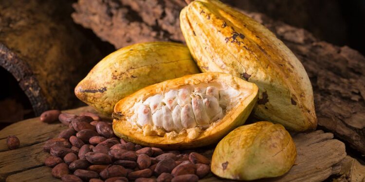 Más de $3.200 millones fueron destinados para garantizar la seguridad alimentaria de los pueblos étnicos de Arauca