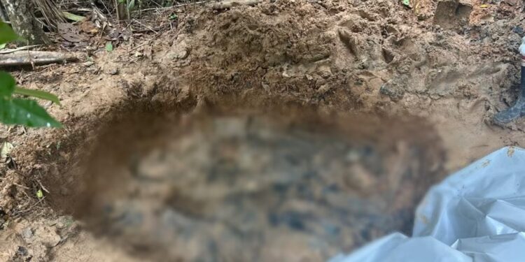 Los ocho campesinos ejecutados por las disidencias en Guaviare