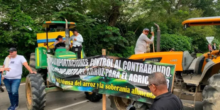 Se agudiza la crisis en Casanare por paro arrocero: Imponen nuevas restricciones de movilidad y fracasa diálogo con el Gobierno