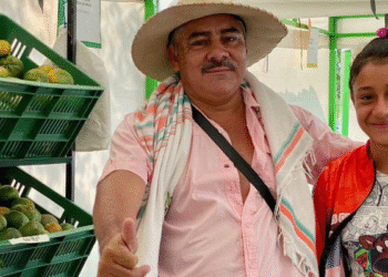 Más de 25.000 cestas nutricionales llegarán a las familias rurales del Meta con el programa Casabe