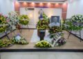 En la Funeraria Jardines de Arauca es velado el cuerpo del escritor e historiador araucano Luis Caropresse Quintero.