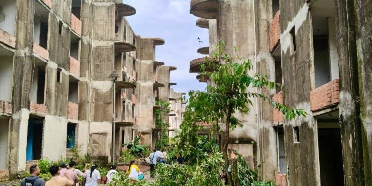 Avanza solución definitiva para Torres del Silencio
