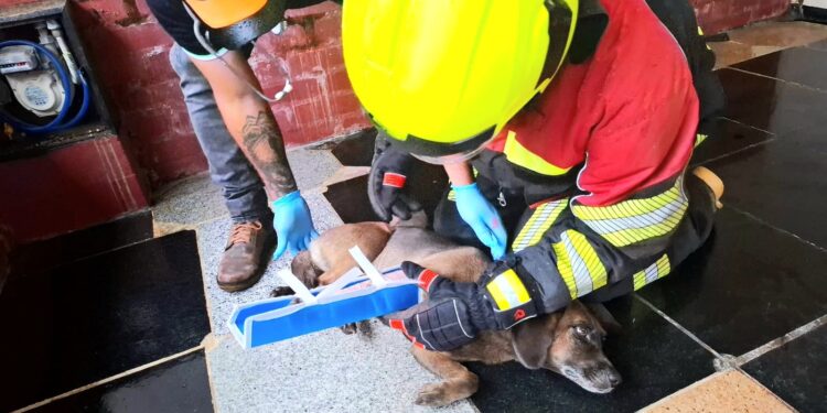 Casanare superó récord histórico en el Simulacro Nacional de Respuesta a Emergencias