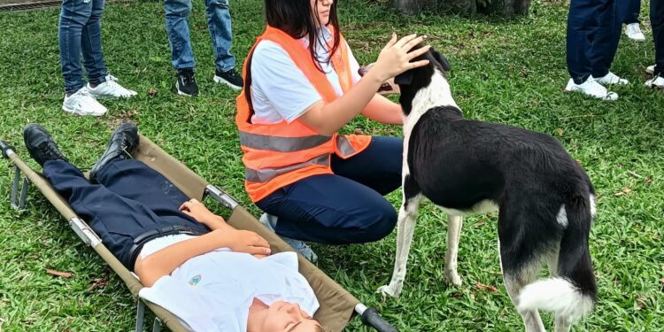 Casanare superó récord histórico en el Simulacro Nacional de Respuesta a Emergencias