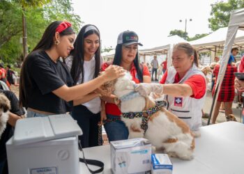 Jornada de protección para animales se realizó en Arauca capital