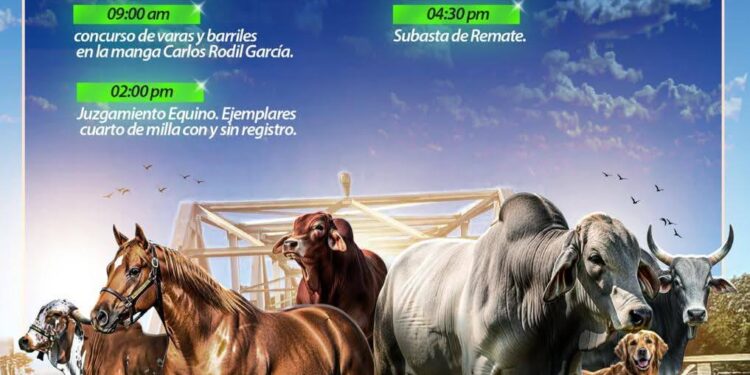 Programación oficial de la 40ª Feria Agropecuaria 2025 de Arauca