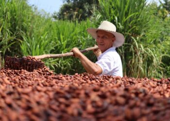 Empresa Sierracol Energy promueve el desarrollo productivo de Arauca