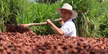 Empresa Sierracol Energy promueve el desarrollo productivo de Arauca