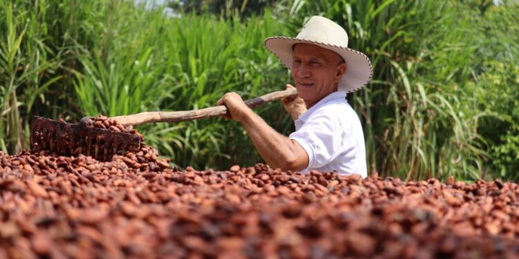 Empresa Sierracol Energy promueve el desarrollo productivo de Arauca