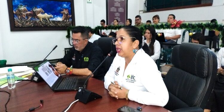 Participación exitosa del IFC en Audiencia Pública convocada por la Asamblea Departamental