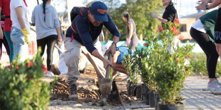 Embellecen el nuevo CAPS de la Comuna VI con siembra de Ixoras