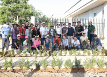 Embellecen el nuevo CAPS de la Comuna VI con siembra de Ixoras