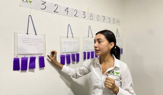 EL ICA refuerza la vigilancia epidemiológica y el control de la peste porcina clásica (PPC) en el departamento de Arauca