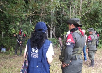 Defensoría advierte que efectos del paro armado anunciado por el ELN podrían extenderse a 10 departamentos del país