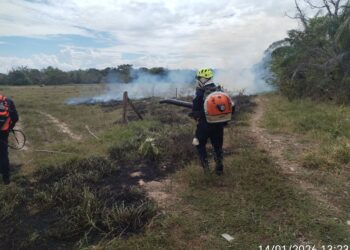 Bomberos de Aguazul controlan incendio forestal en vía hacia Maní