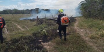Bomberos de Aguazul controlan incendio forestal en vía hacia Maní