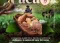 Casanare será sede del VIII Seminario Internacional del Cacao