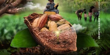 Casanare será sede del VIII Seminario Internacional del Cacao
