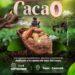 Casanare será sede del VIII Seminario Internacional del Cacao