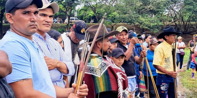 Saberes ancestrales brillan en las Fiestas de La Candelaria en Orocué