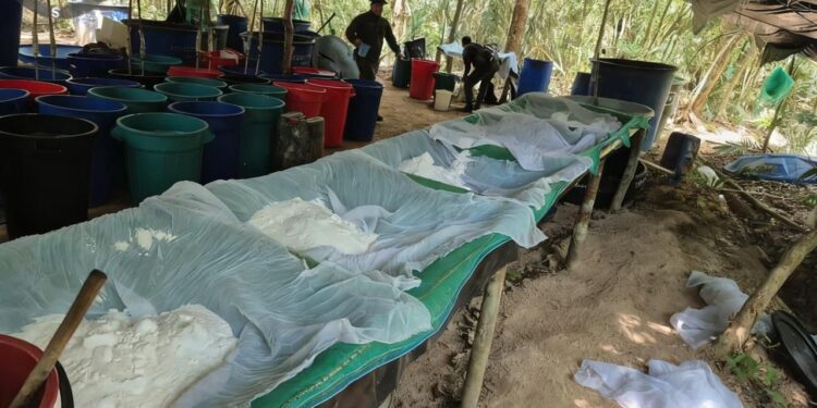 Nuevo golpe a la delincuencia en Casanare