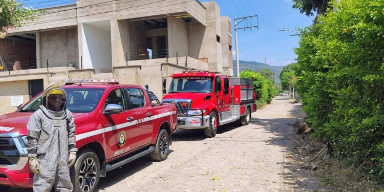 Evacúan a 31 personas tras ataque de abejas en Yopal