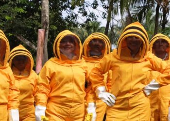 28 beneficiarios se capacitan en manejo de apiarios en Yopal