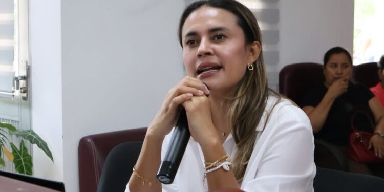 Red Salud Casanare presenta avances y proyectos clave ante el Concejo Municipal de Villanueva