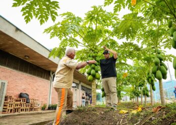 Alcaldía de Yopal le apuesta a la productividad en centros carcelarios de Yopal