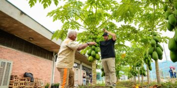 Alcaldía de Yopal le apuesta a la productividad en centros carcelarios de Yopal