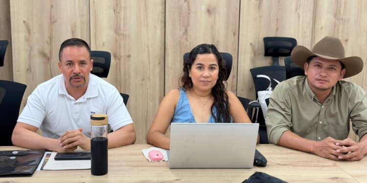 Casanare aprueba dos proyectos estratégicos para la protección de su patrimonio cultural