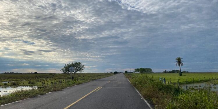 OCAD paz aprueba $93.034 millones para vías terciarias en municipios PDET de Arauca