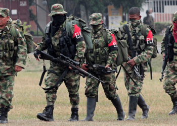 ELN anuncia cese al fuego unilateral para las elecciones del próximo 8 de marzo