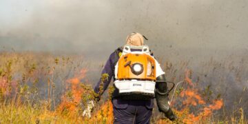Cuerpo oficial de bomberos Arauca avanza en la protección de áreas ambientales y ecológicas del territorio