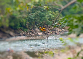 Taxi se salió de la vía y fue a parar al cause del Río Cravo Sur en Yopal