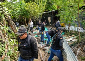 Autoridades recuperan siete lotes utilizados para comercialización Ilegal