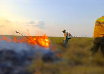 Emergencia Ambiental: Voraz incendio en Orocué arrasa con más de 2.500 hectáreas de sabana y bosque